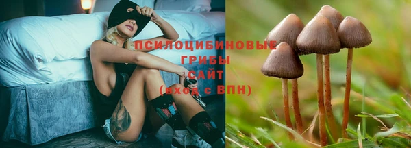 каннабис Алексин