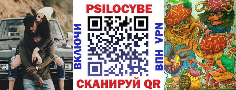 блэк спрут вход Ступино Псилоцибиновые грибы MAGIC MUSHROOMS